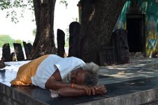 stage de yoga en Inde
