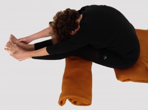 Fiche posturale détaillee de paschimottanasana. centre de yoga paris 12e bastille.