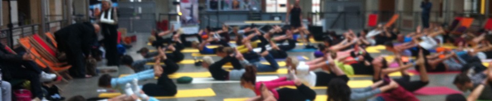 Yoga amrita cours de yoga paris 12e bastille gare de lyon yoga festival 2013